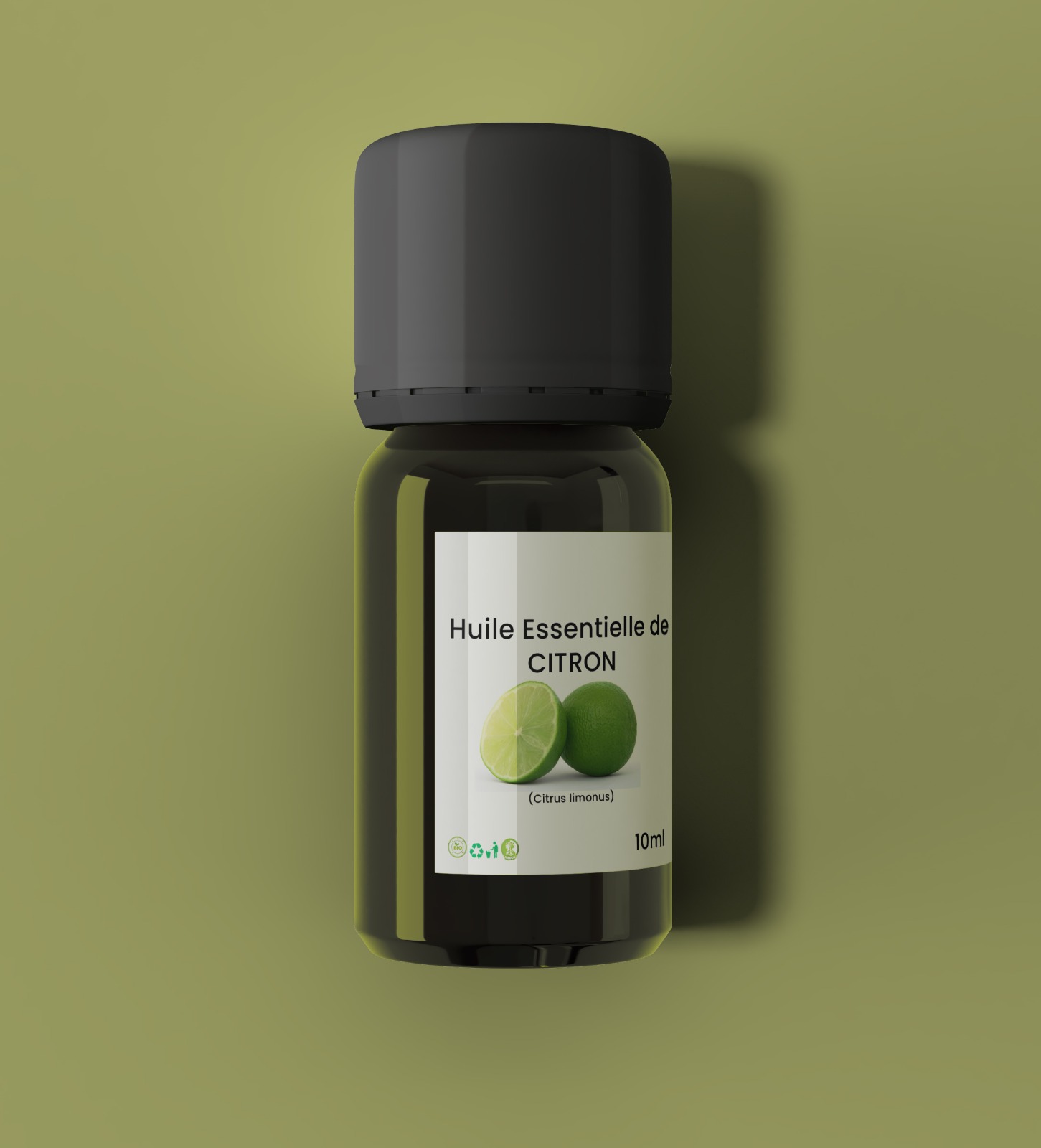 WhatsApp Image 2025-10-27 à 17.38.11_18af1a51